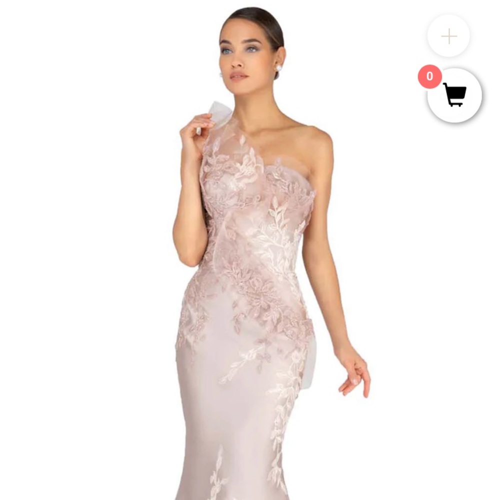 Terani couture MOB/MOG Dress